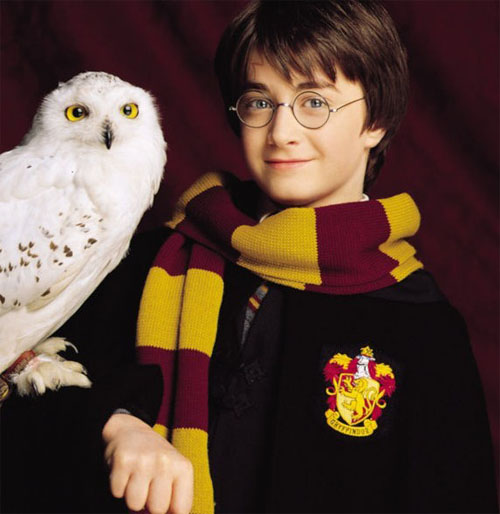 妞快报:《哈利波特》世间情版!罗琳一句话让马份身世大翻盘
