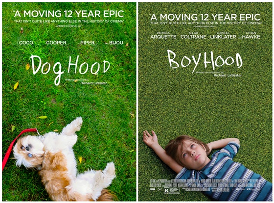 《年少时代boyhood》