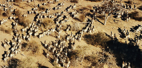 photo source:  tayloralisonswft.tumblr