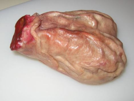 仁爱!人类睾丸可以吃吗"不计其数"-第1张图片-西卡博客